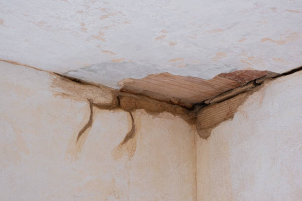 Best Carpet water damage restoration  in Goshen, CA