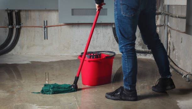 Best Water damage restoration near me  in Goshen, CA