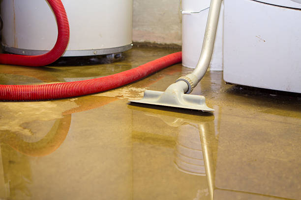 Best Water damage restoration experts  in Goshen, CA
