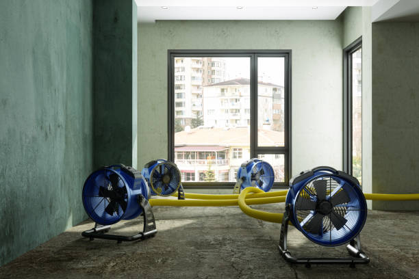 Best Ceiling water damage repair  in Goshen, CA